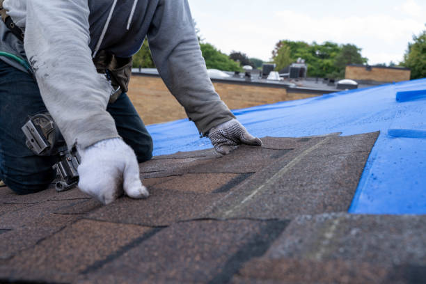 Best Shingle Roofing Installation  in Grayvle, IL