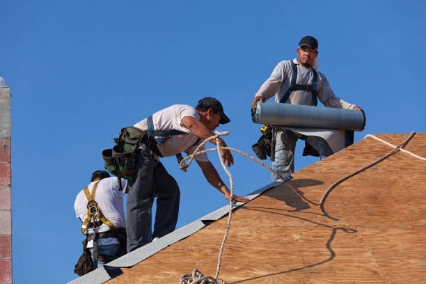 Best Best Roofing Contractors  in Grayvle, IL