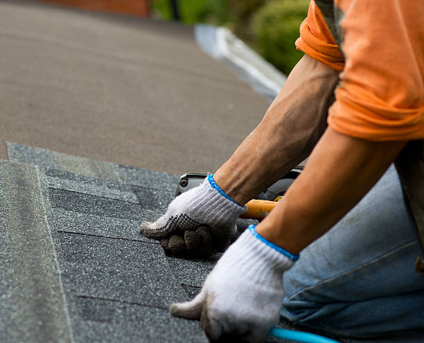 Best Roof Leak Repair  in Grayvle, IL
