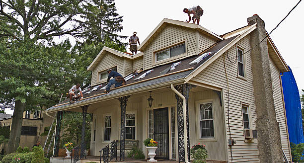 Best Storm Damage Roof Repair  in Grayvle, IL